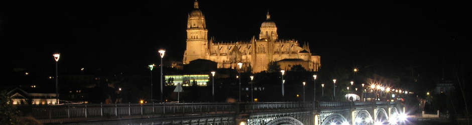 Catedral de Salamanca y puente Enrique Estevan